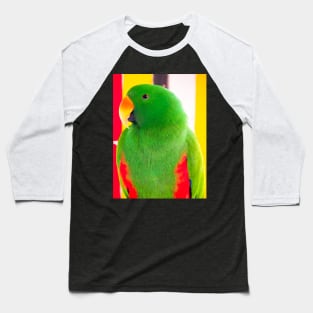 Male Eclectus Parrot (North East Australia) Baseball T-Shirt